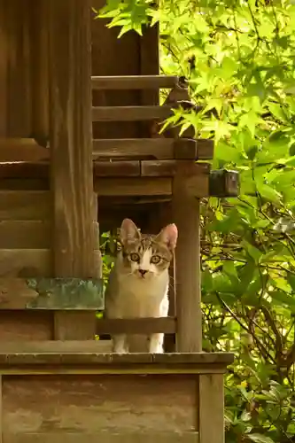 城上神社(島根県)