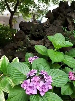 五十稲荷神社(栄寿稲荷神社)(東京都)