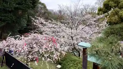 清水観音堂(東京都)