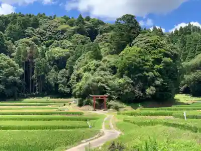 熊野神社の周辺