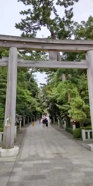 寒川神社の鳥居