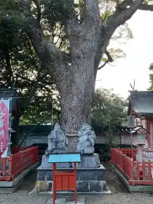 長田神社(兵庫県)