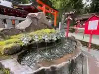 九頭龍神社新宮(神奈川県)