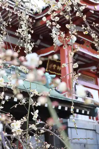 宗隆寺(神奈川県)