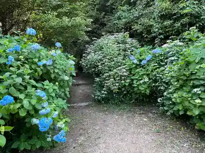 粟井神社(香川県)