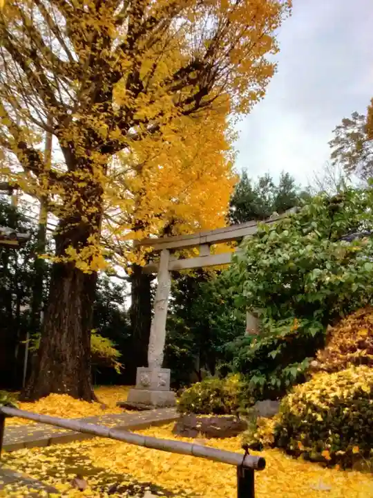 高円寺(東京都)
