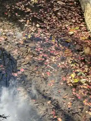 善福寺(兵庫県)