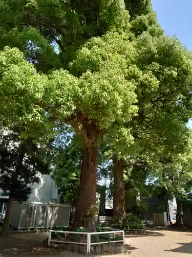 稲荷神社(静岡県)
