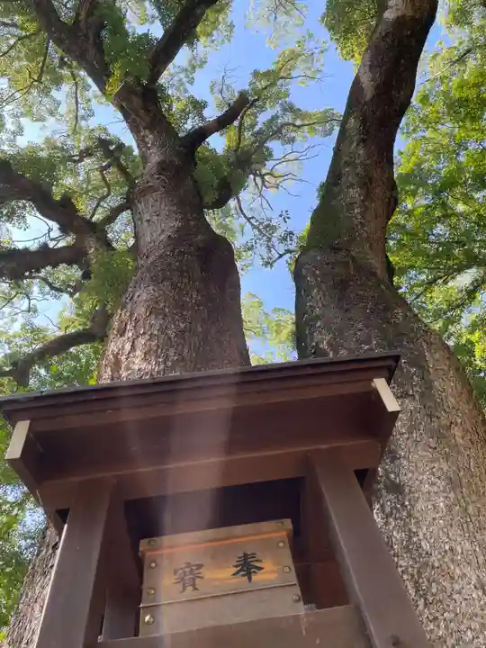 伊弉諾神宮(兵庫県)