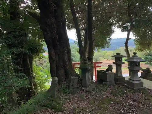 嚴嶋神社の景色