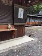 柏井八幡社(愛知県)