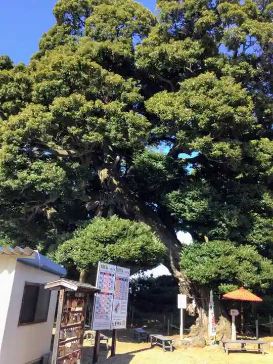 九重神社の自然