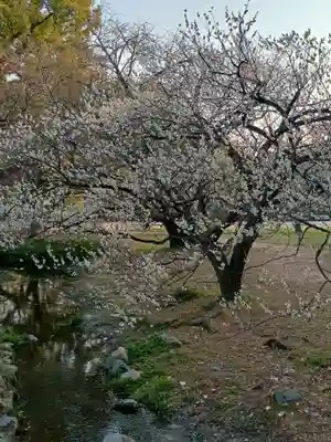 白雲神社(京都府)