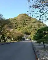 愛媛縣護國神社の景色