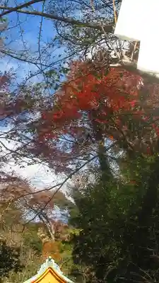 雷神社(神奈川県)