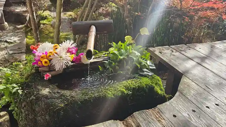 宝泉院(京都府)