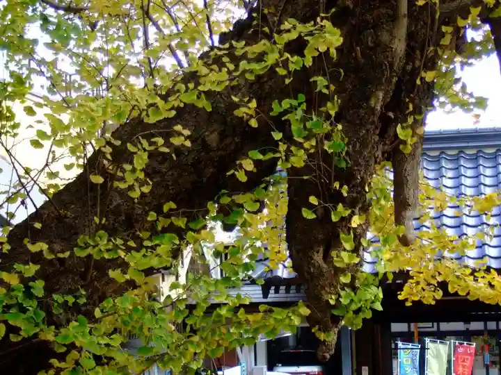 正円寺(山口県)