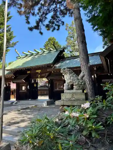 琴似神社(北海道)