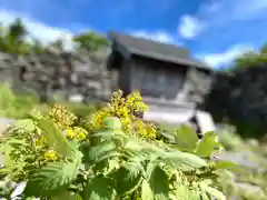 山家神社奥宮の自然