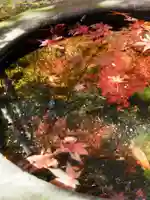 覚園寺(神奈川県)