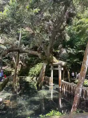 鹿島神宮の{uncategorized: "未分類", other: "その他", undefined: "問題あり", building: "その他建物", grave: "お墓", sacred_gate: "鳥居", guardian: "狛犬", statue: "像", buddha: "仏像", history: "歴史", nature: "自然", garden: "庭園", animal: "動物", pagoda: "塔", temizu: "手水舎", mountain_gate: "山門・神門", sanctuary: "本殿・本堂", subordinate: "末社・摂社", art: "芸術", scenery: "景色", jizo: "地蔵", ema: "絵馬", goshuin: "御朱印", omikuji: "おみくじ", items: "授与品その他", amulet: "お守り", goshuincho: "御朱印帳", eats: "食事", festival: "お祭り", votive_dance: "神楽", shichigosan: "七五三参", wedding: "結婚式", experience: "体験その他", initially: "初詣", around: "周辺", anti_infection: "感染症対策"}