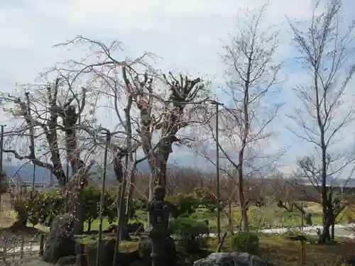 玉泉寺(神奈川県)