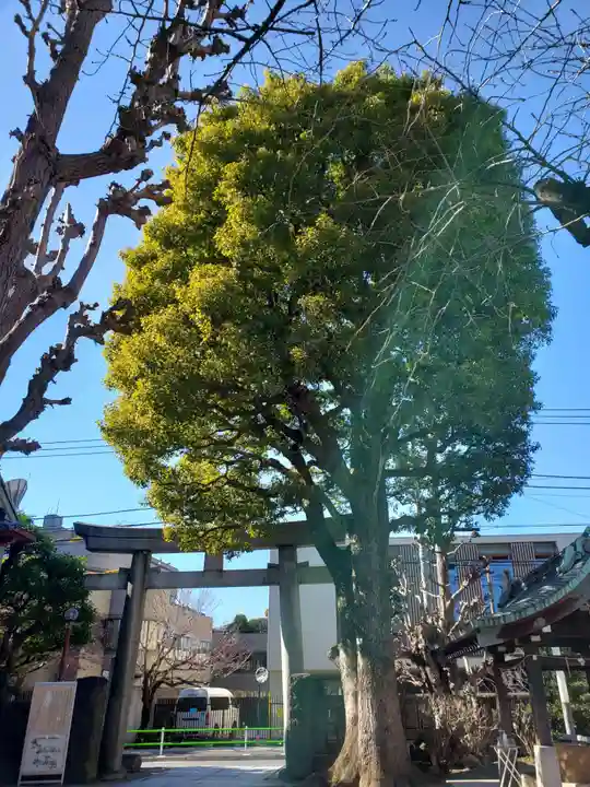 麻布氷川神社の鳥居