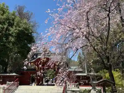 秩父神社(埼玉県)