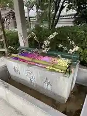 伊和志津神社の手水