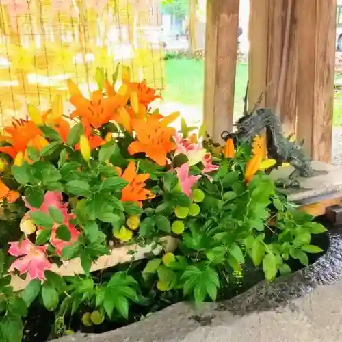 彌彦神社　(伊夜日子神社)の手水舎