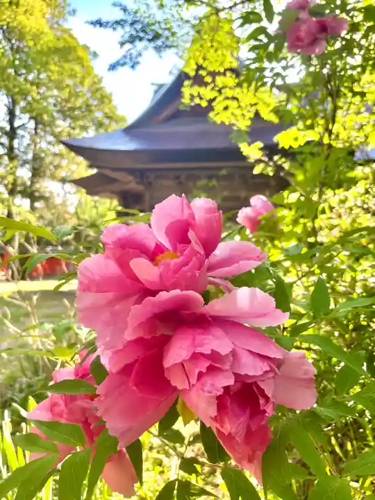 蚊里田八幡宮(長野県)