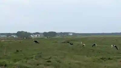 更岸神社の周辺