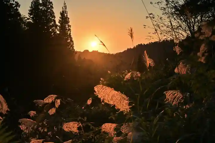 高龍神社 奥之院(新潟県)
