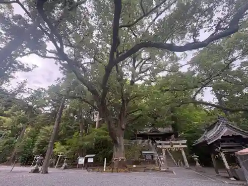 事任八幡宮(静岡県)