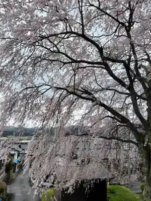 日吉神社(京都府)