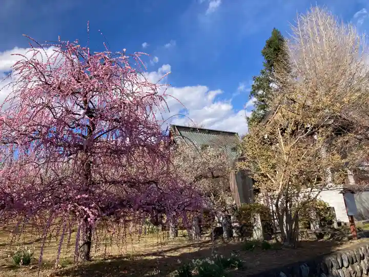 瑞雲寺(神奈川県)
