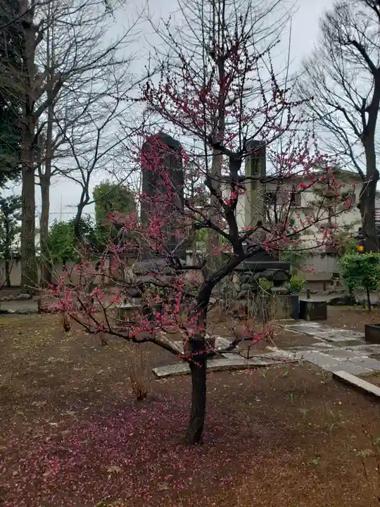 妙法寺(東京都)