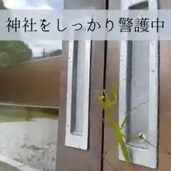 屋久島大社の動物