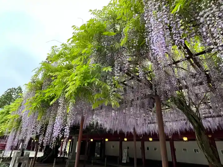 笠間稲荷神社(茨城県)