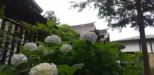 武蔵第六天神社の自然