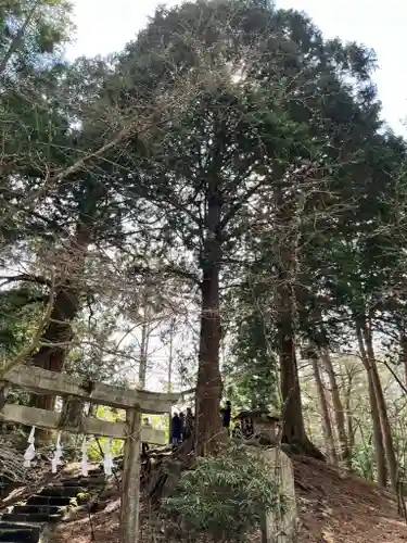 北口本宮冨士浅間神社(山梨県)
