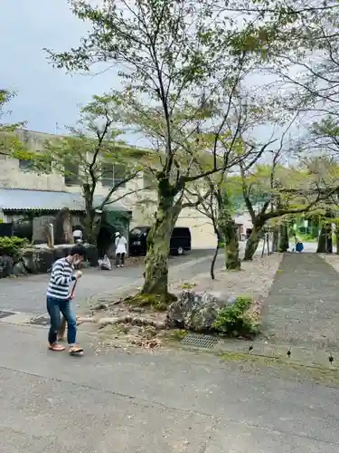 天鷹神社(岐阜県)