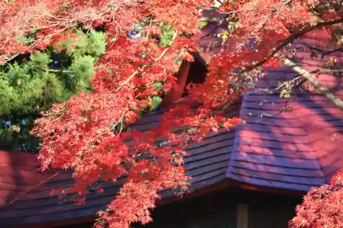 八幡神社の庭園