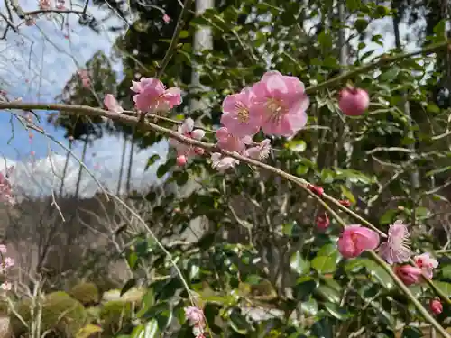 三千院門跡の自然