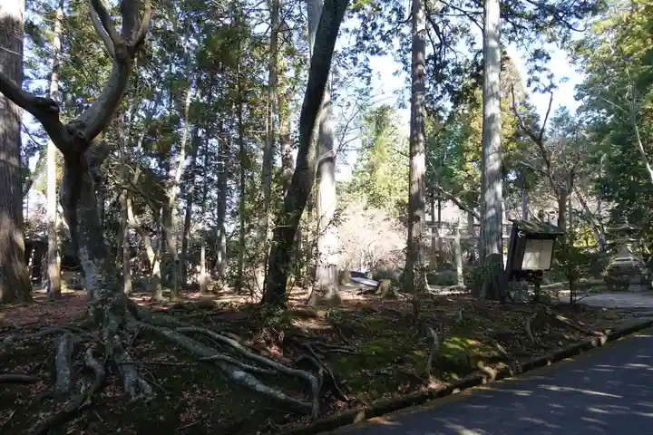 曼殊院門跡の周辺