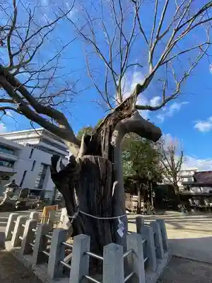 阿邪訶根神社(福島県)