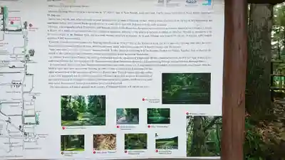 平泉寺白山神社(福井県)