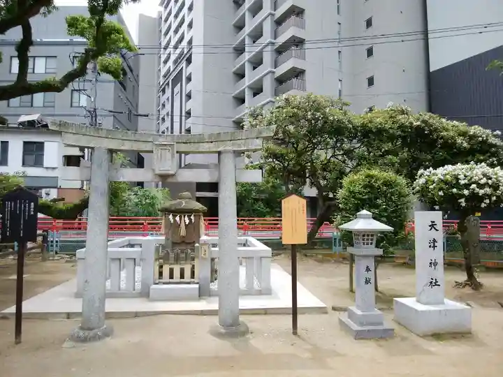 天津神社の鳥居