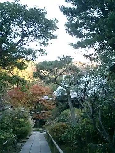 妙法寺の庭園