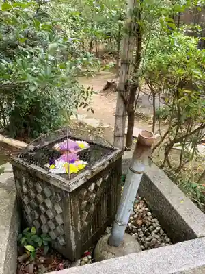 武田神社(山梨県)